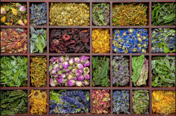 What is Botanic Skincare?